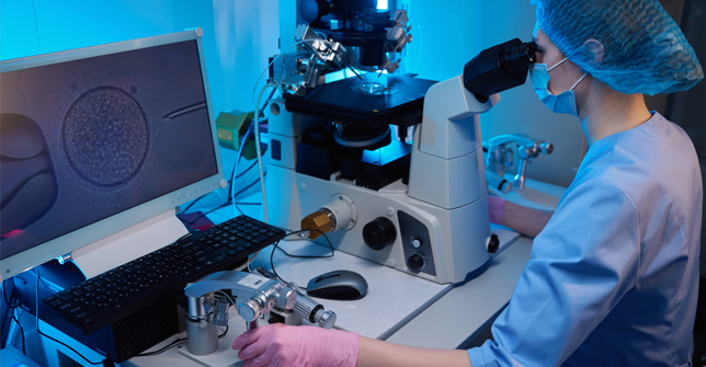 A lab technician performs intracytoplasmic sperm injection using a microscope and computer monitor displaying an oocyte.